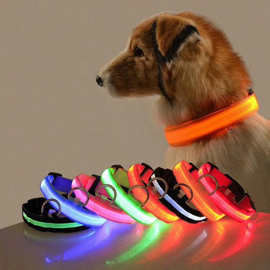 Collier Anti-perte de vue pour chien, lumière Led, éclaire de nuit pour chiens, produits pour animaux de compagnie, chargement USB/batterie.