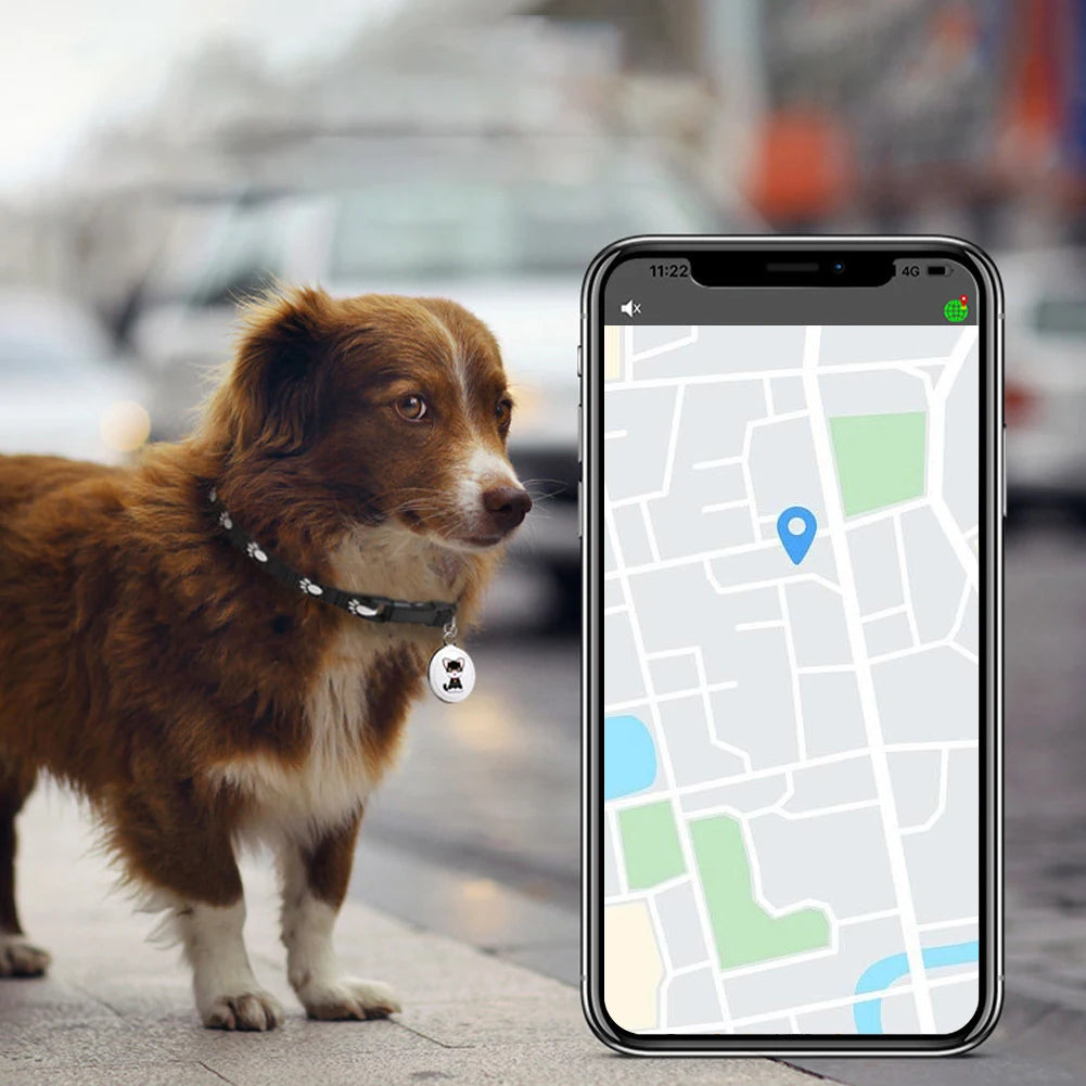 Traceur GPS intelligent pour animaux de compagnie, longue distance, mini collier de suivi GPS étanche, Android, IOS, outil de suivi pour chats et chiens.