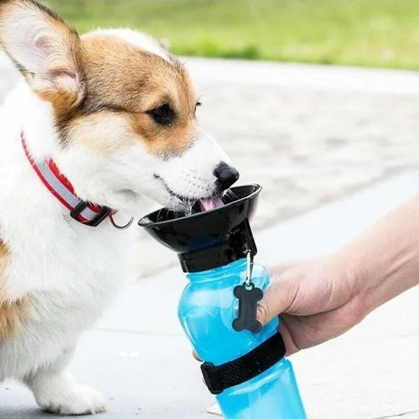 500ml extérieur Portable chien bouteille d'eau Extrusion grand chien voyage tasse d'eau potable mangeoire d'eau bol pour chien chat