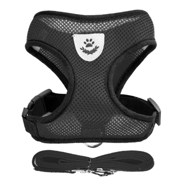 Ensemble de laisse harnais pour chat et petits chiens, gilet réglable pour chiot, Chihuahua, carlin.