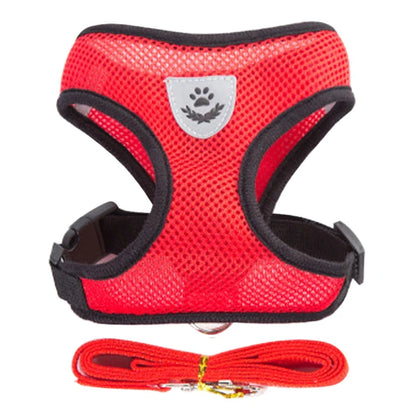 Ensemble de laisse harnais pour chat et petits chiens, gilet réglable pour chiot, Chihuahua, carlin.