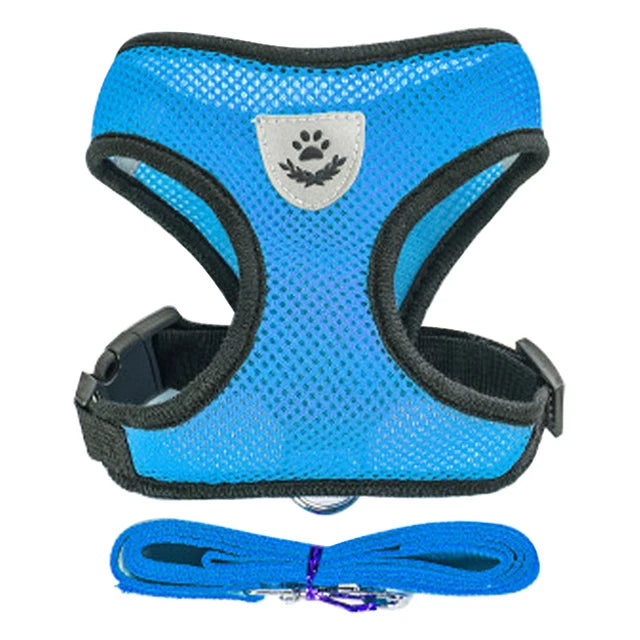 Ensemble de laisse harnais pour chat et petits chiens, gilet réglable pour chiot, Chihuahua, carlin.