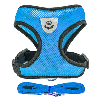 Ensemble de laisse harnais pour chat et petits chiens, gilet réglable pour chiot, Chihuahua, carlin.
