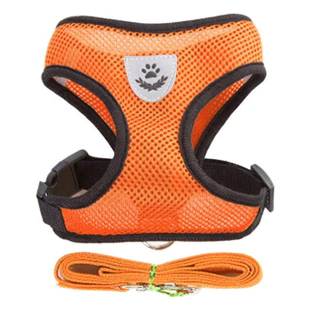 Ensemble de laisse harnais pour chat et petits chiens, gilet réglable pour chiot, Chihuahua, carlin.