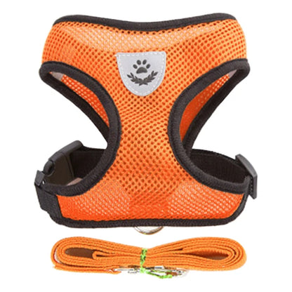 Ensemble de laisse harnais pour chat et petits chiens, gilet réglable pour chiot, Chihuahua, carlin.