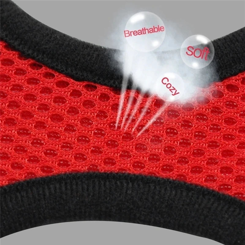 Ensemble de laisse harnais pour chat et petits chiens, gilet réglable pour chiot, Chihuahua, carlin.