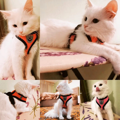 Ensemble de laisse harnais pour chat et petits chiens, gilet réglable pour chiot, Chihuahua, carlin.