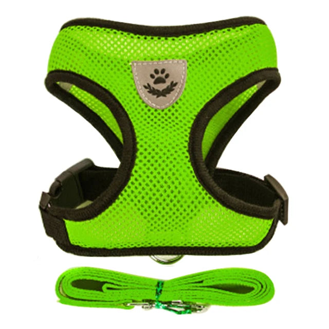 Ensemble de laisse harnais pour chat et petits chiens, gilet réglable pour chiot, Chihuahua, carlin.