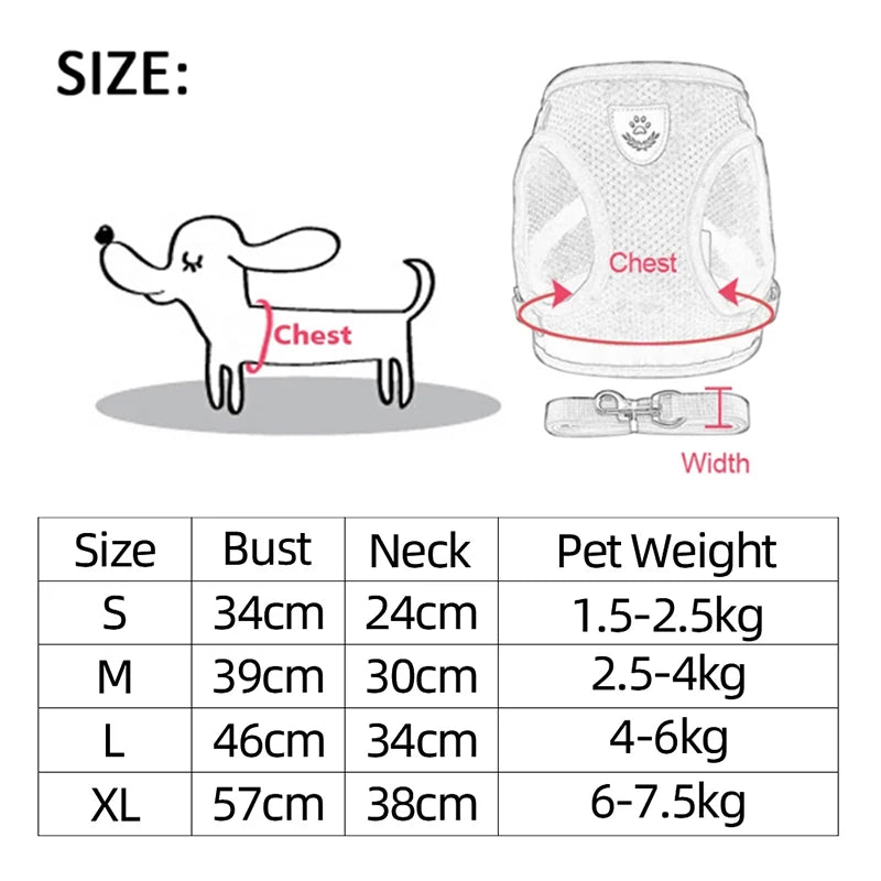 Ensemble de laisse harnais pour chat et petits chiens, gilet réglable pour chiot, Chihuahua, carlin.