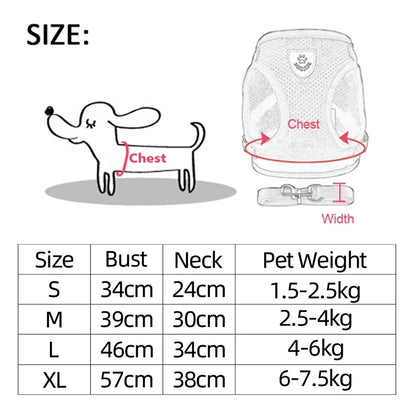 Ensemble de laisse harnais pour chat et petits chiens, gilet réglable pour chiot, Chihuahua, carlin.