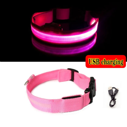 Collier Anti-perte de vue pour chien, lumière Led, éclaire de nuit pour chiens, produits pour animaux de compagnie, chargement USB/batterie.