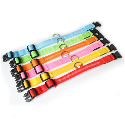 Collier Anti-perte de vue pour chien, lumière Led, éclaire de nuit pour chiens, produits pour animaux de compagnie, chargement USB/batterie.
