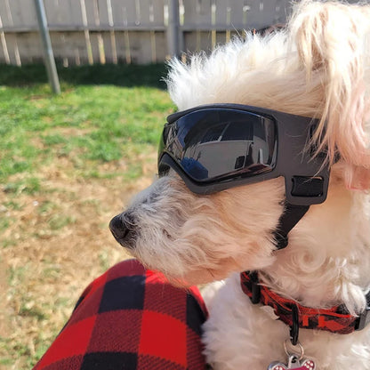 Accessoires pour animaux de compagnie. Protection UV extérieure lunettes de soleil pour chien de petite taille à moyenne. Sangles réglables.