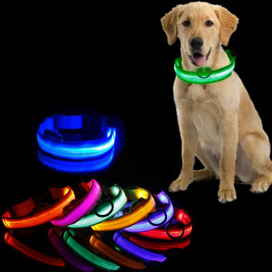 Collier Anti-perte de vue pour chien, lumière Led, éclaire de nuit pour chiens, produits pour animaux de compagnie, chargement USB/batterie.