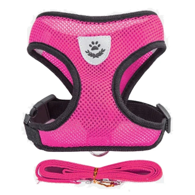 Ensemble de laisse harnais pour chat et petits chiens, gilet réglable pour chiot, Chihuahua, carlin.