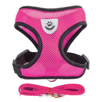 Ensemble de laisse harnais pour chat et petits chiens, gilet réglable pour chiot, Chihuahua, carlin.