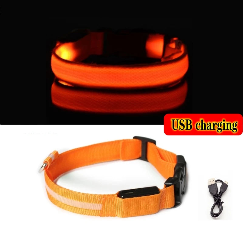 Collier Anti-perte de vue pour chien, lumière Led, éclaire de nuit pour chiens, produits pour animaux de compagnie, chargement USB/batterie.