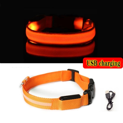 Collier Anti-perte de vue pour chien, lumière Led, éclaire de nuit pour chiens, produits pour animaux de compagnie, chargement USB/batterie.