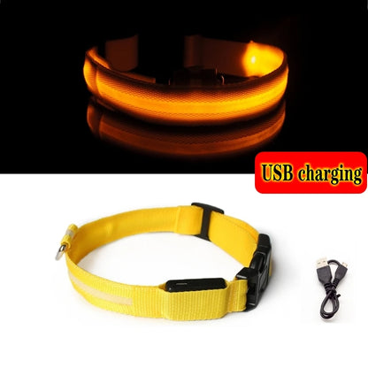 Collier Anti-perte de vue pour chien, lumière Led, éclaire de nuit pour chiens, produits pour animaux de compagnie, chargement USB/batterie.