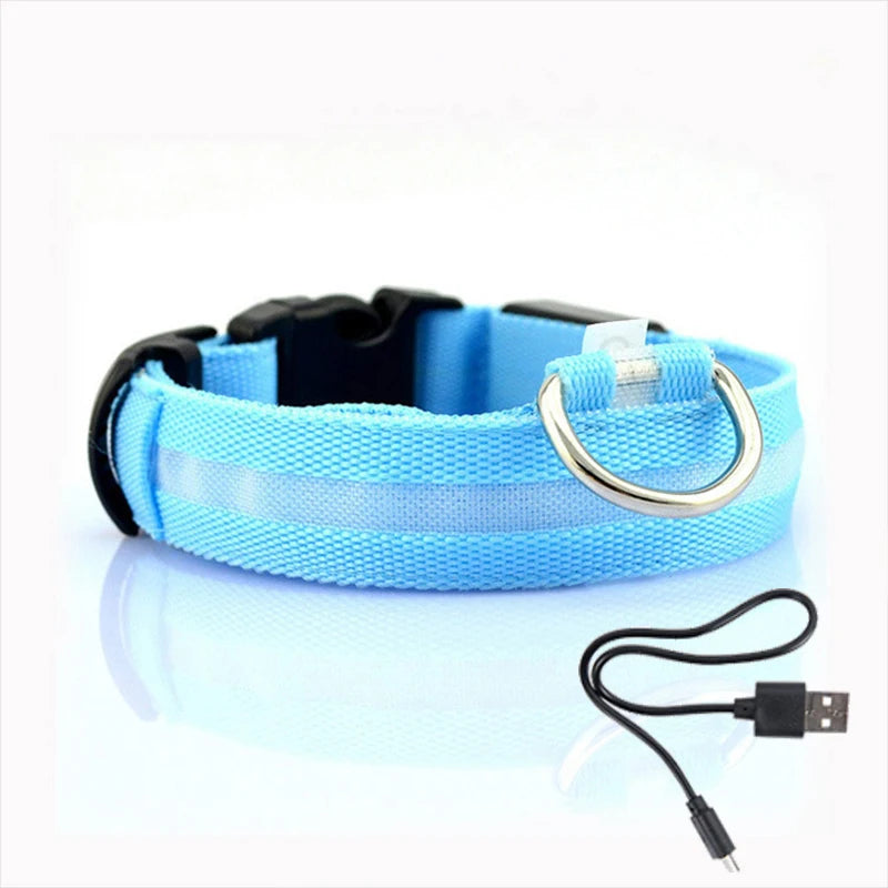 Collier Anti-perte de vue pour chien, lumière Led, éclaire de nuit pour chiens, produits pour animaux de compagnie, chargement USB/batterie.