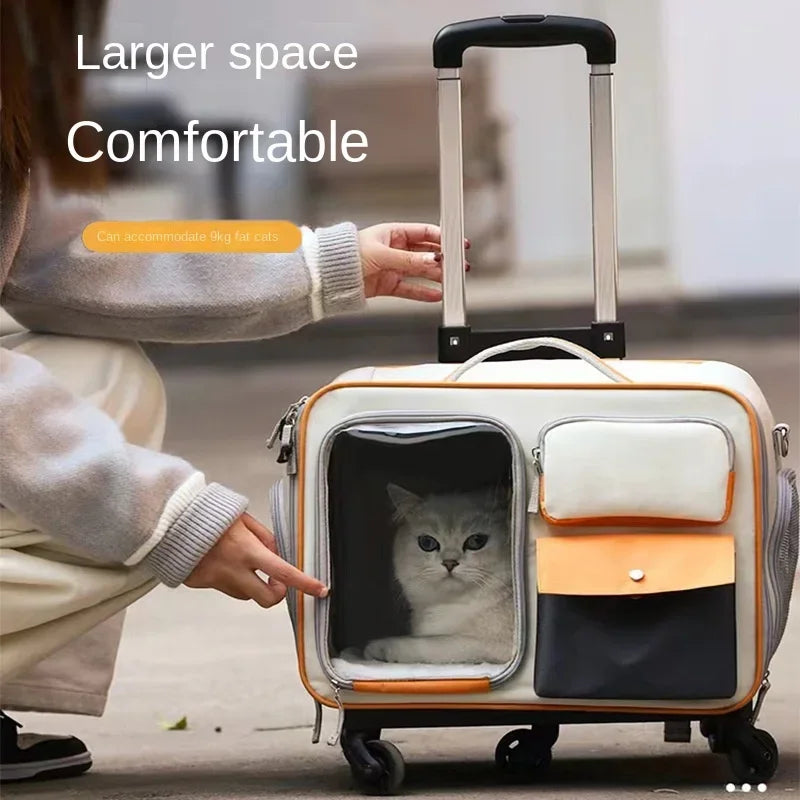 Valises de transport pour petits chiens et chats. Peu être utiliser comme sacs valise pour chat. Qualité au de gamme et transport de nos compagnons très stable ainsi que confortable pour d'agréable voyage.