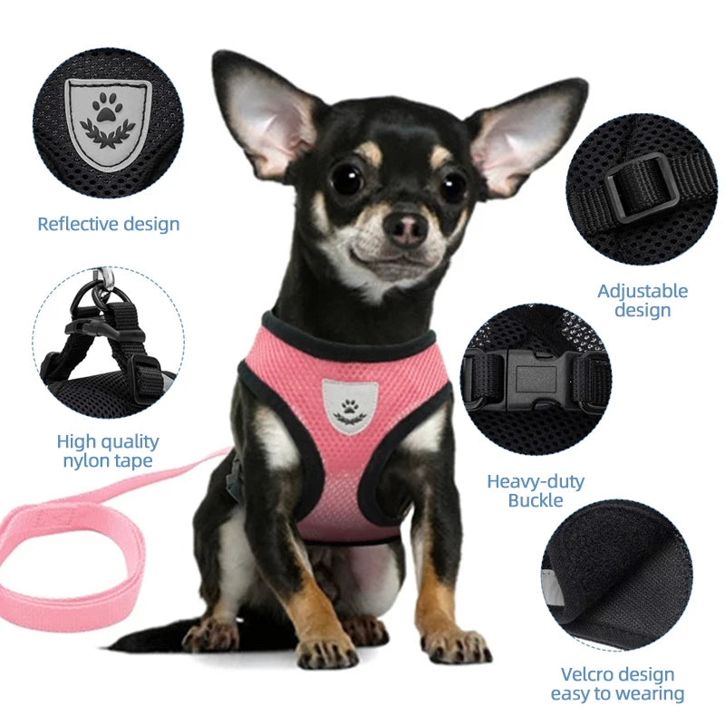 Ensemble de laisse harnais pour chat et petits chiens, gilet réglable pour chiot, Chihuahua, carlin.