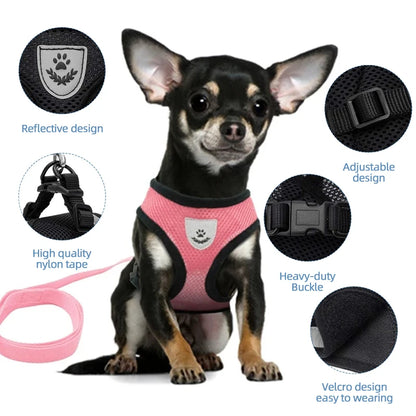 Ensemble de laisse harnais pour chat et petits chiens, gilet réglable pour chiot, Chihuahua, carlin.