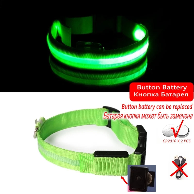 Collier Anti-perte de vue pour chien, lumière Led, éclaire de nuit pour chiens, produits pour animaux de compagnie, chargement USB/batterie.