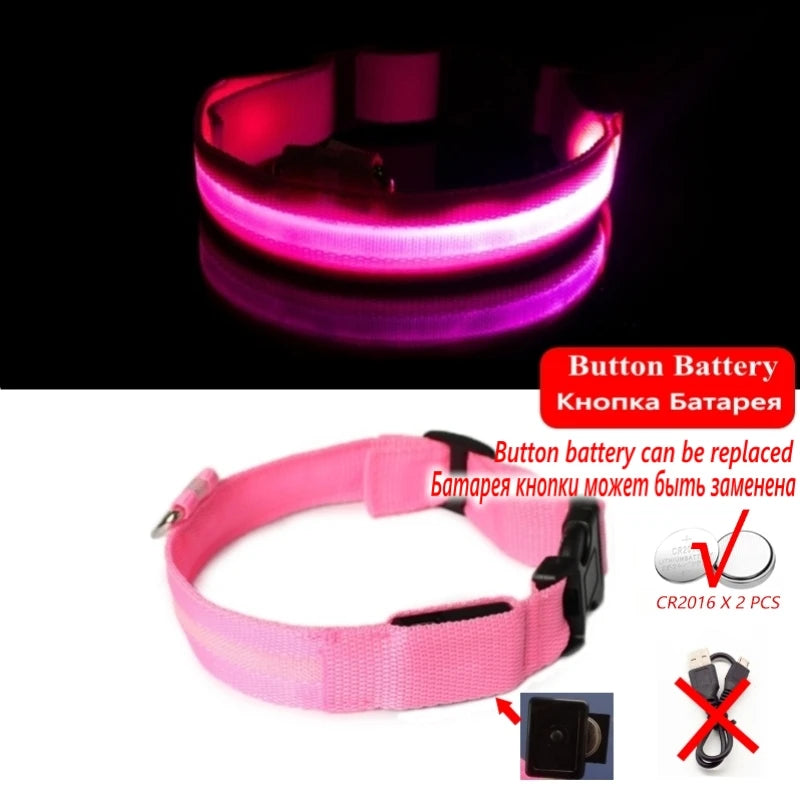Collier Anti-perte de vue pour chien, lumière Led, éclaire de nuit pour chiens, produits pour animaux de compagnie, chargement USB/batterie.