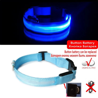 Collier Anti-perte de vue pour chien, lumière Led, éclaire de nuit pour chiens, produits pour animaux de compagnie, chargement USB/batterie.