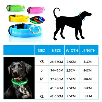 Collier Anti-perte de vue pour chien, lumière Led, éclaire de nuit pour chiens, produits pour animaux de compagnie, chargement USB/batterie.