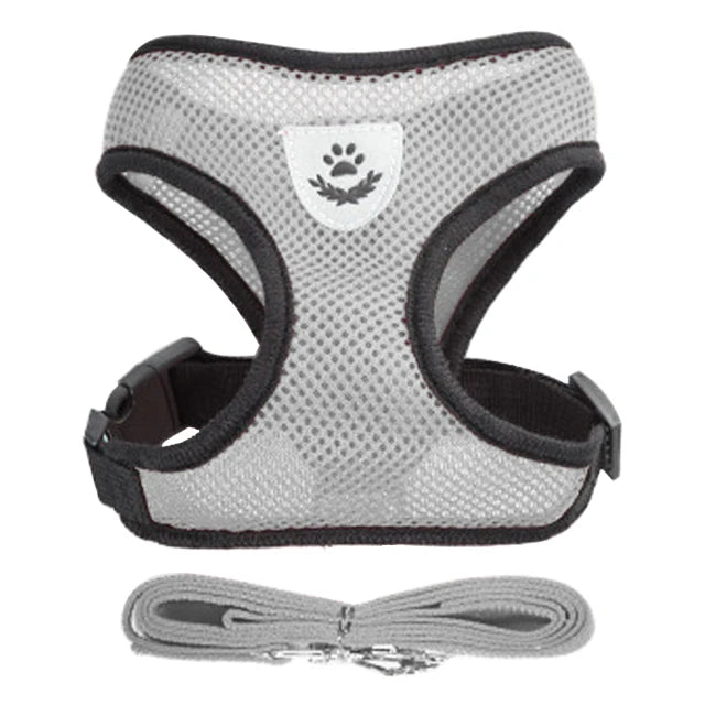 Ensemble de laisse harnais pour chat et petits chiens, gilet réglable pour chiot, Chihuahua, carlin.