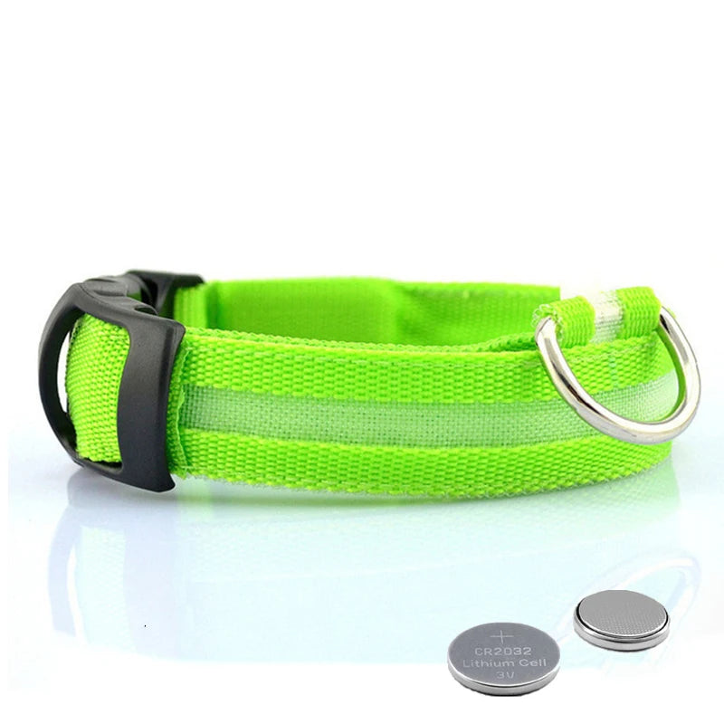 Collier Anti-perte de vue pour chien, lumière Led, éclaire de nuit pour chiens, produits pour animaux de compagnie, chargement USB/batterie.