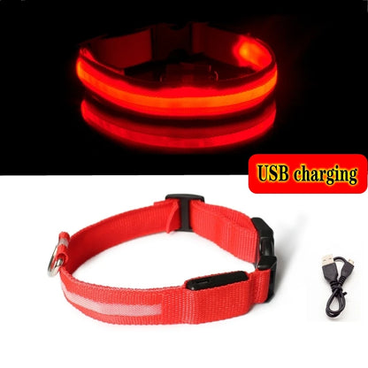 Collier Anti-perte de vue pour chien, lumière Led, éclaire de nuit pour chiens, produits pour animaux de compagnie, chargement USB/batterie.