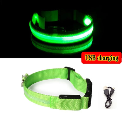 Collier Anti-perte de vue pour chien, lumière Led, éclaire de nuit pour chiens, produits pour animaux de compagnie, chargement USB/batterie.