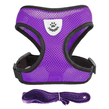 Ensemble de laisse harnais pour chat et petits chiens, gilet réglable pour chiot, Chihuahua, carlin.