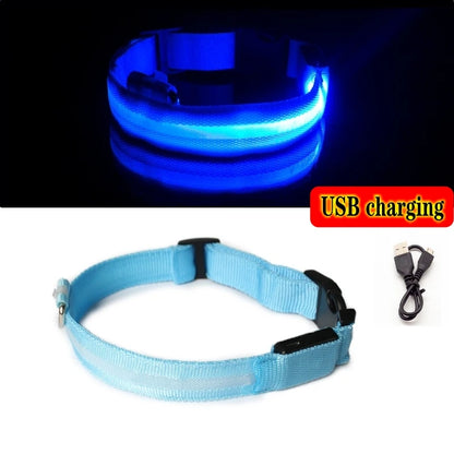 Collier Anti-perte de vue pour chien, lumière Led, éclaire de nuit pour chiens, produits pour animaux de compagnie, chargement USB/batterie.