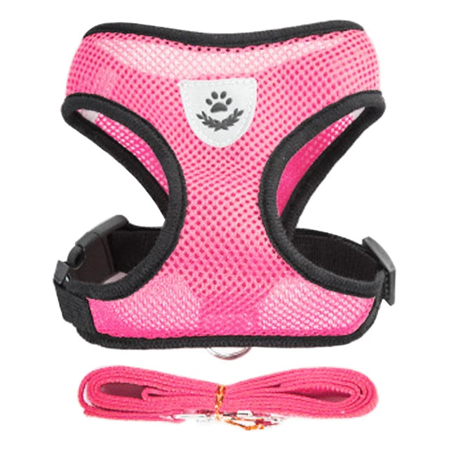 Ensemble de laisse harnais pour chat et petits chiens, gilet réglable pour chiot, Chihuahua, carlin.