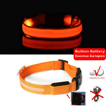 Collier Anti-perte de vue pour chien, lumière Led, éclaire de nuit pour chiens, produits pour animaux de compagnie, chargement USB/batterie.