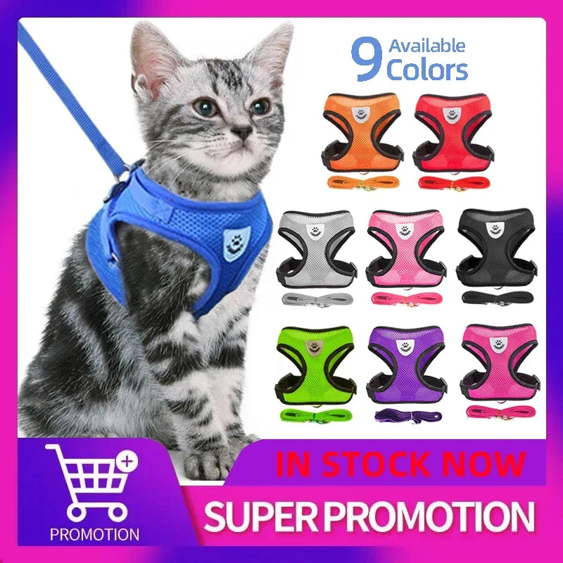 Ensemble de laisse harnais pour chat et petits chiens, gilet réglable pour chiot, Chihuahua, carlin.
