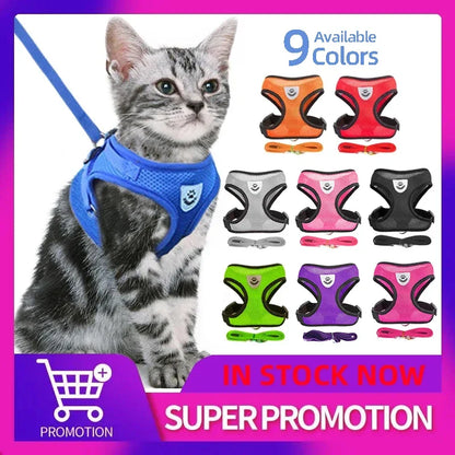 Ensemble de laisse harnais pour chat et petits chiens, gilet réglable pour chiot, Chihuahua, carlin.