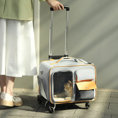 Valises de transport pour petits chiens et chats. Peu être utiliser comme sacs valise pour chat. Qualité au de gamme et transport de nos compagnons très stable ainsi que confortable pour d'agréable voyage.
