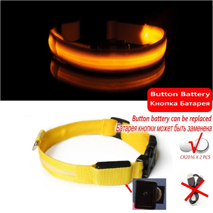 Collier Anti-perte de vue pour chien, lumière Led, éclaire de nuit pour chiens, produits pour animaux de compagnie, chargement USB/batterie.