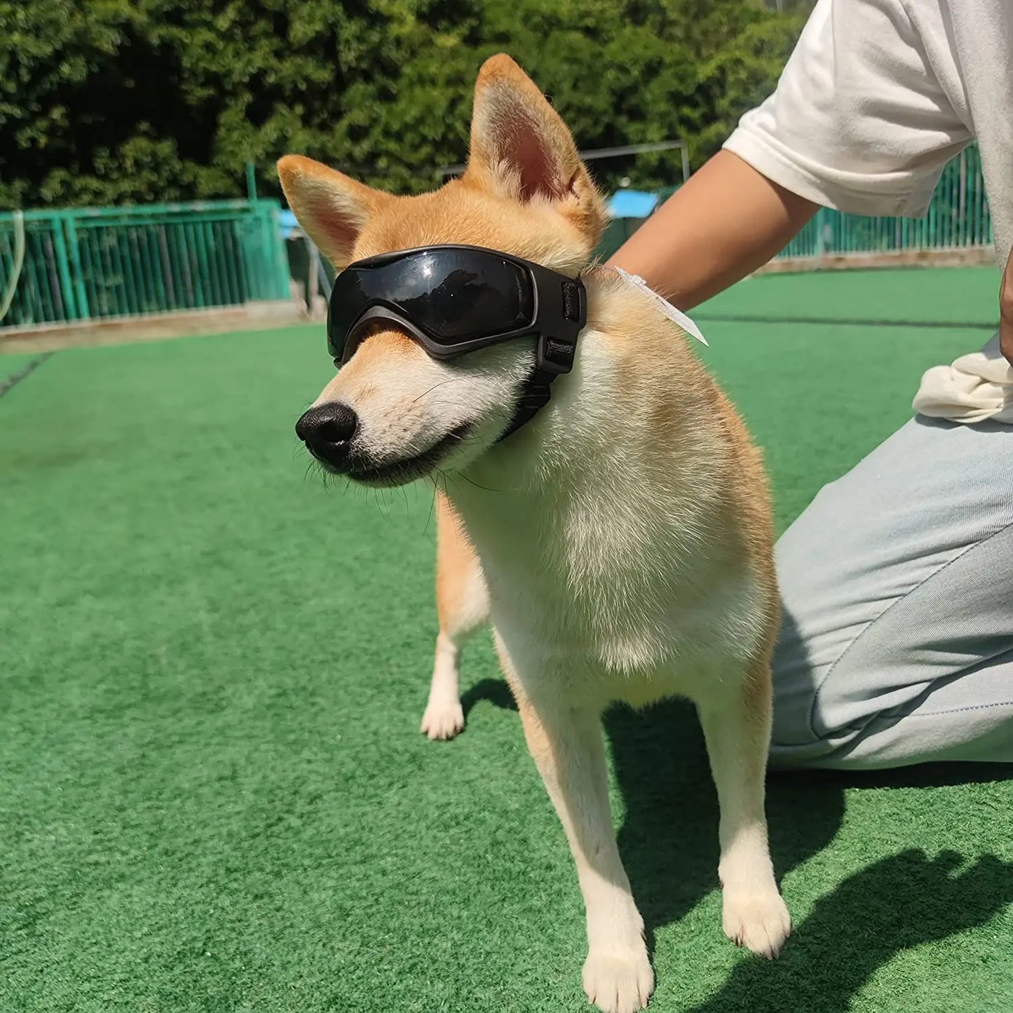 Accessoires pour animaux de compagnie. Protection UV extérieure lunettes de soleil pour chien de petite taille à moyenne. Sangles réglables.