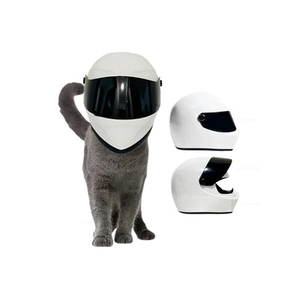 Casque intégral pour animaux de compagnie, casque de vélo pour le plein air ou pour moto pour chats et chiens.