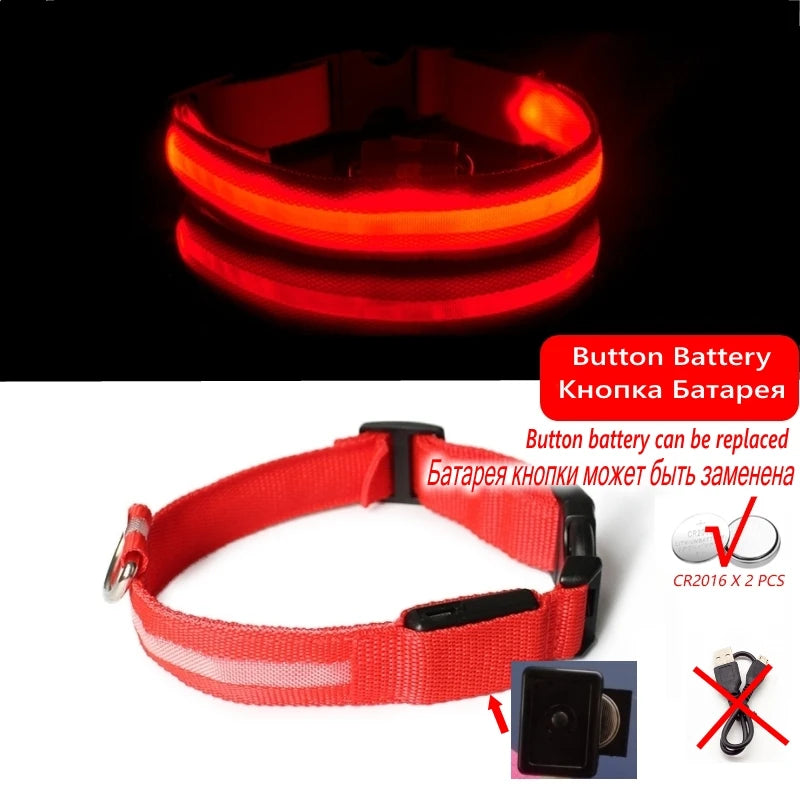 Collier Anti-perte de vue pour chien, lumière Led, éclaire de nuit pour chiens, produits pour animaux de compagnie, chargement USB/batterie.