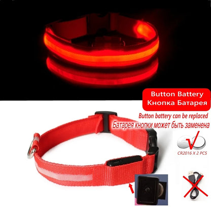 Collier Anti-perte de vue pour chien, lumière Led, éclaire de nuit pour chiens, produits pour animaux de compagnie, chargement USB/batterie.